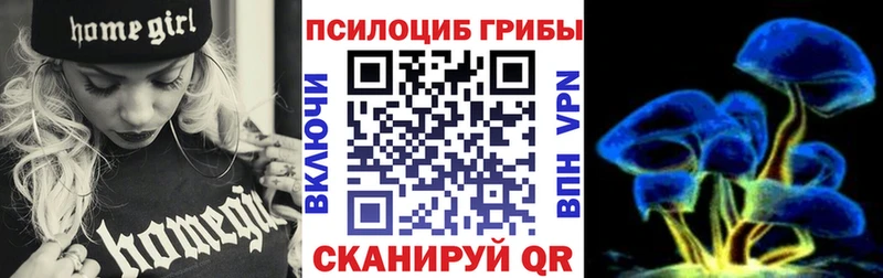 Псилоцибиновые грибы мицелий  Кяхта 