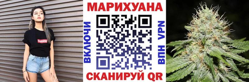 Бошки Шишки план Кяхта